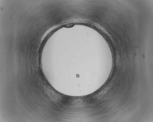 X0000077281222200611171554