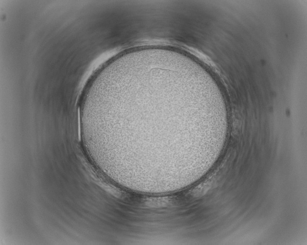 X0000077281223200611171554