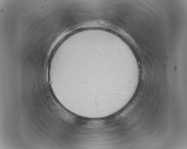 X0000077281224200611171554