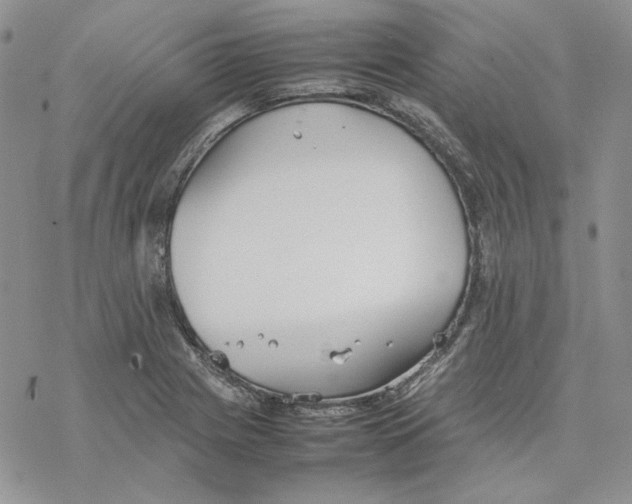 X0000077281225200611171554