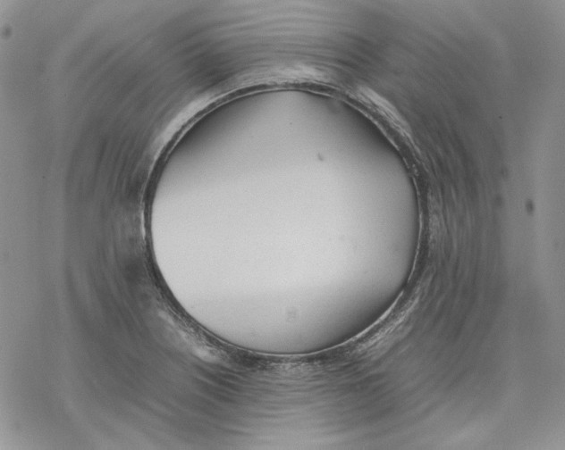 X0000077281226200611171554