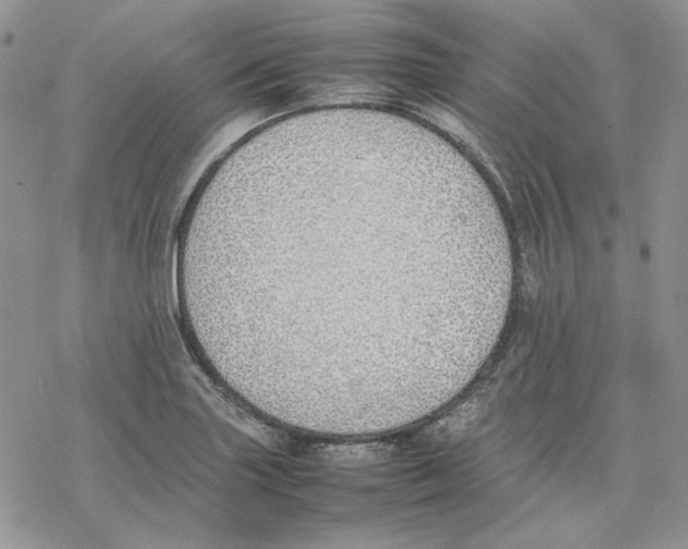 X0000077281227200611171554