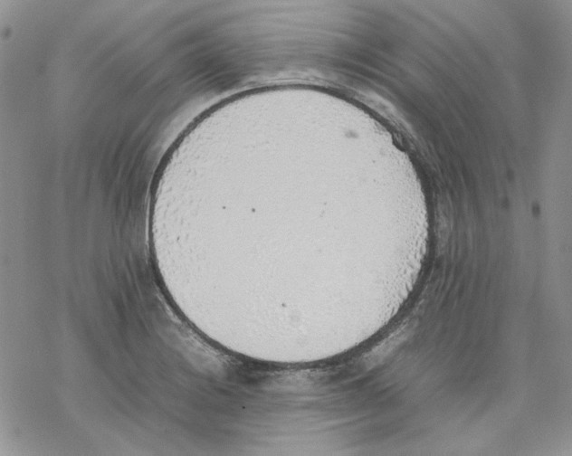 X0000077281228200611171554