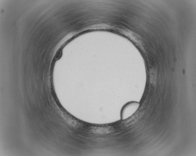 X0000077281229200611171554