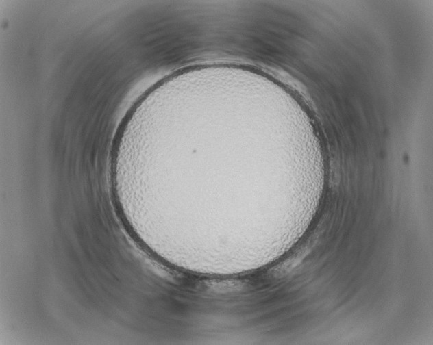 X0000077281231200611171554