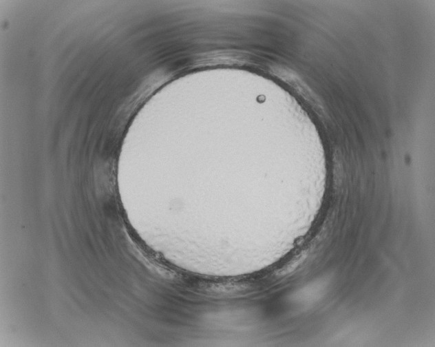 X0000077281233200611171554