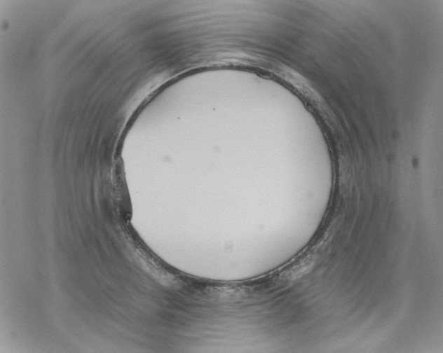 X0000077281234200611171554