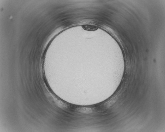 X0000077281235200611171554