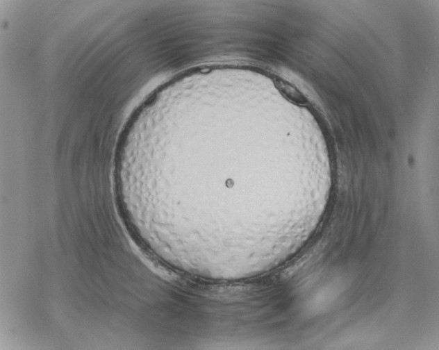 X0000077281237200611171554