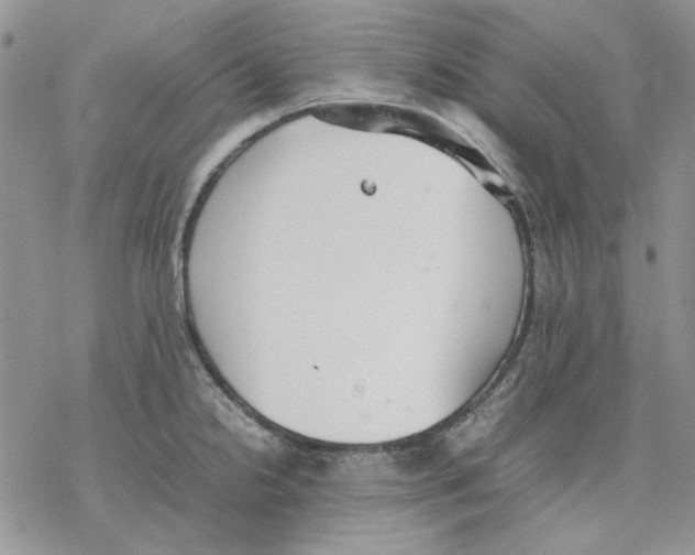 X0000077281238200611171554