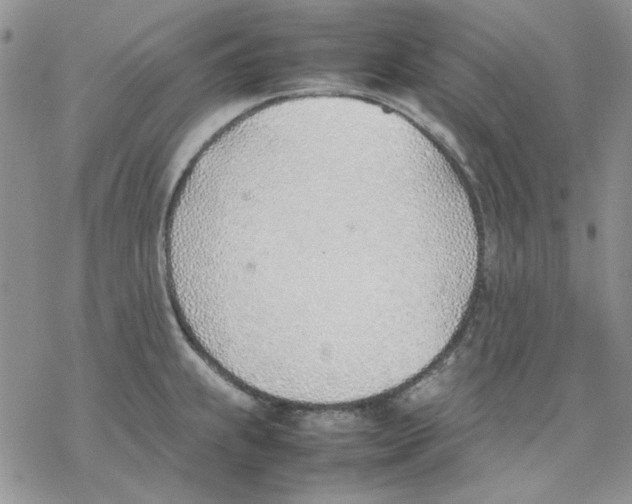 X0000077281239200611171554