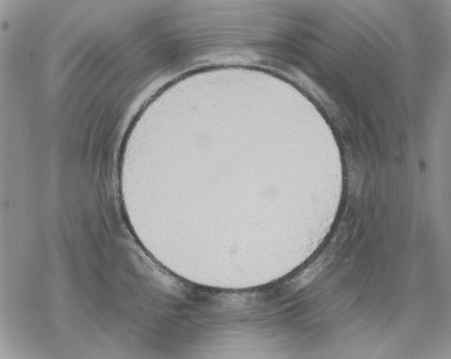 X0000077281240200611171554