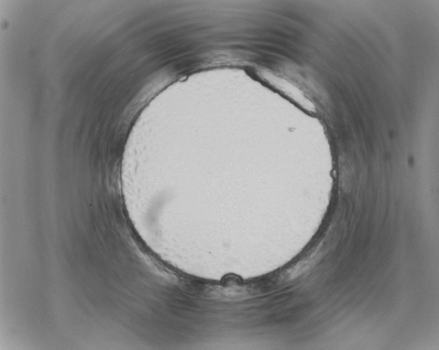 X0000077281241200611171554