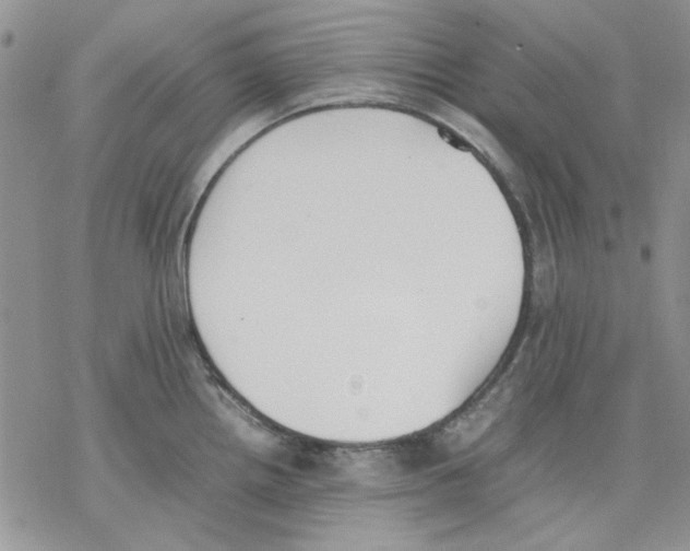 X0000077281242200611171554