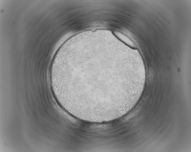 X0000077281243200611171554