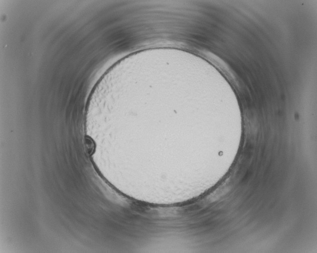 X0000077281244200611171554