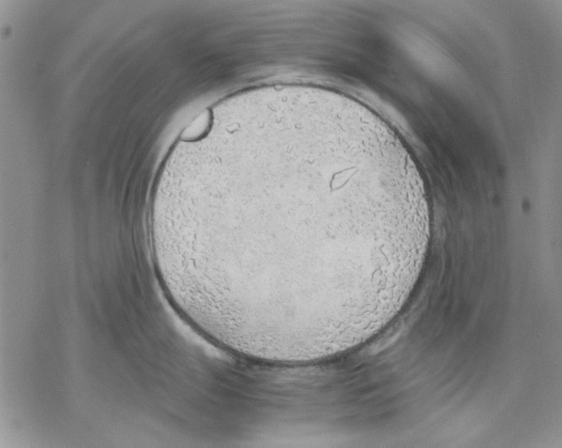 X0000077281247200611171554