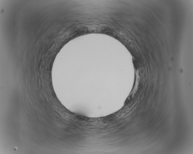 X0000077281249200611171553