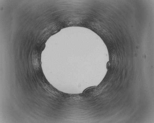 X0000077281250200611171553