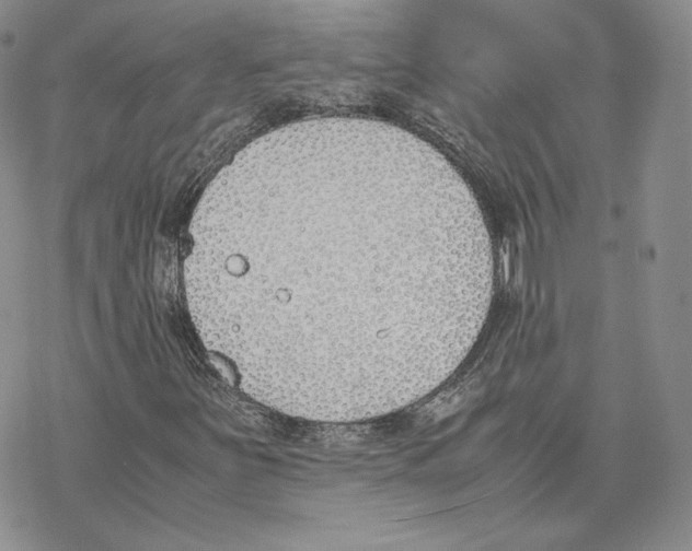 X0000077281251200611171553