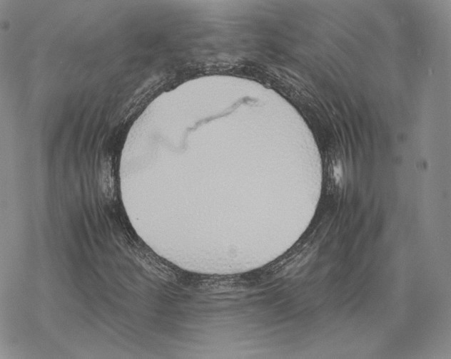 X0000077281252200611171553