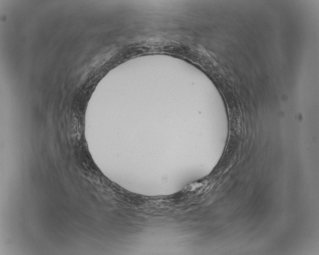 X0000077281253200611171553