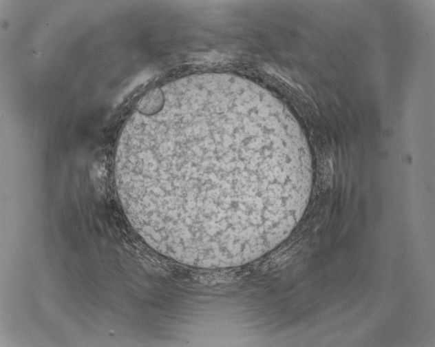 X0000077281254200611171553