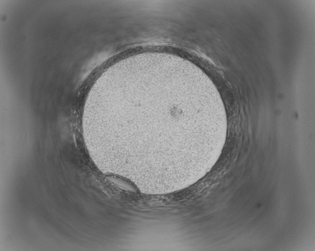 X0000077281255200611171553