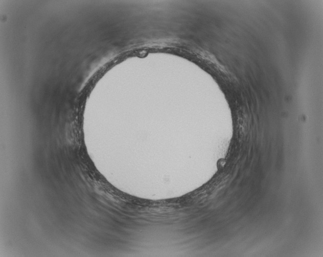 X0000077281256200611171553