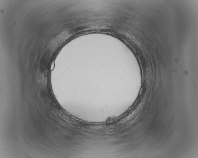 X0000077281257200611171553