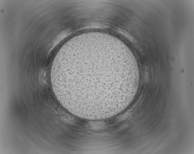 X0000077281258200611171553