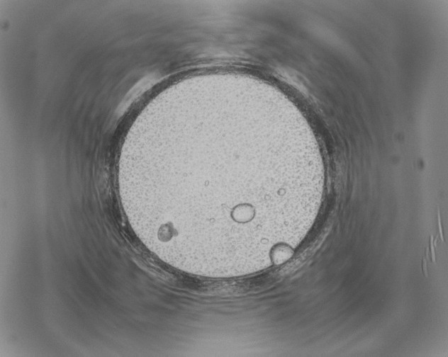 X0000077281259200611171553