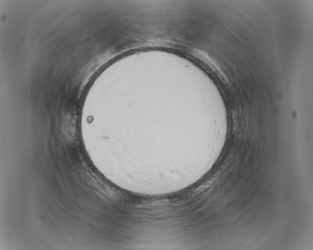 X0000077281260200611171553