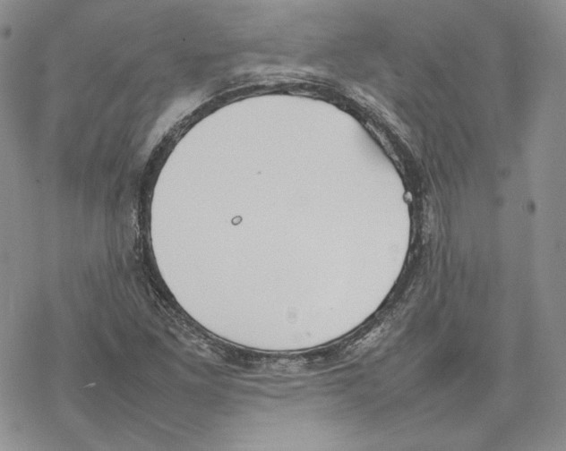 X0000077281261200611171553