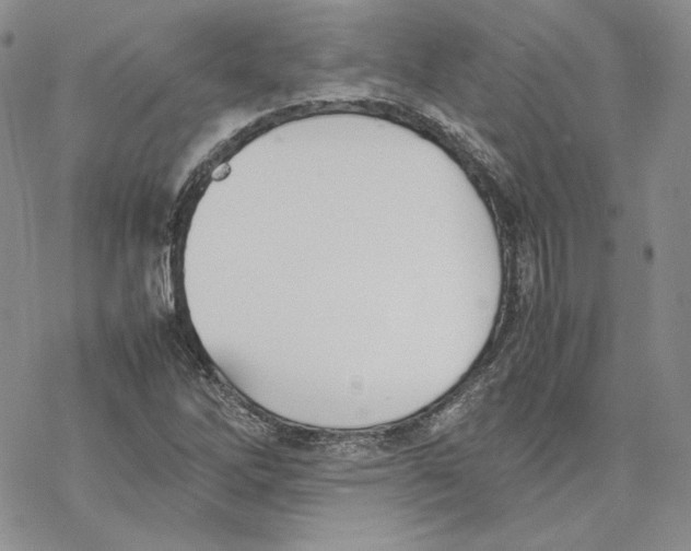 X0000077281262200611171553