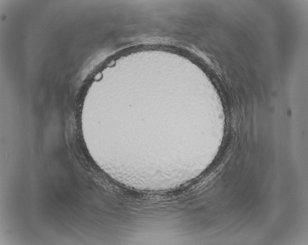 X0000077281263200611171553