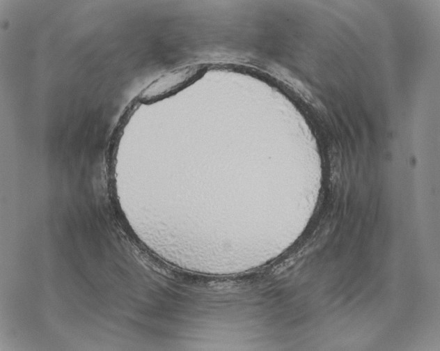 X0000077281264200611171553