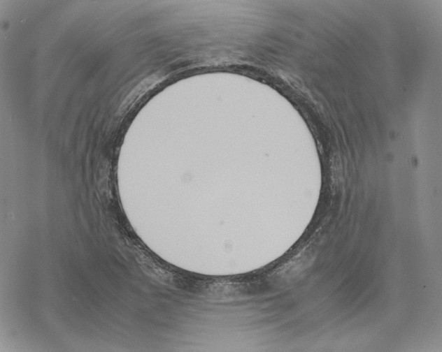 X0000077281265200611171553