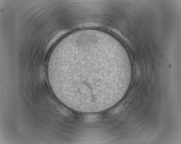 X0000077281266200611171553