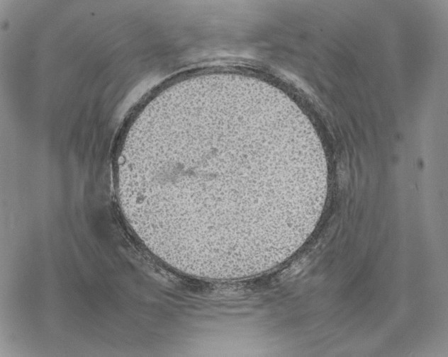 X0000077281267200611171553