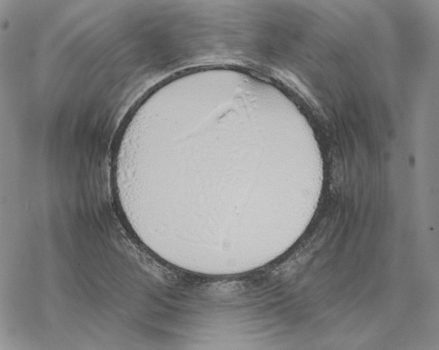 X0000077281268200611171553