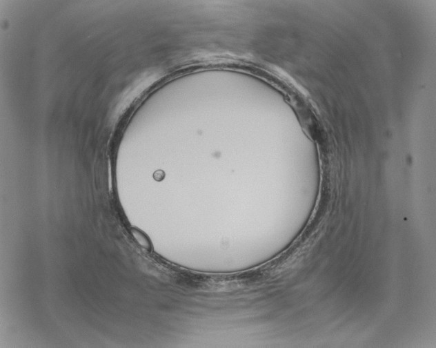 X0000077281269200611171553