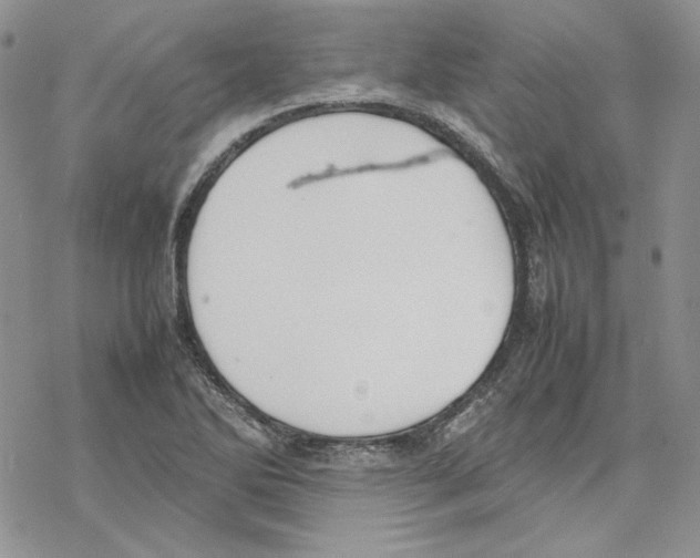 X0000077281270200611171553