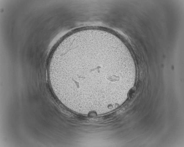 X0000077281271200611171553