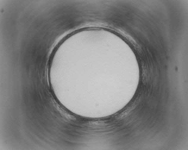 X0000077281272200611171553