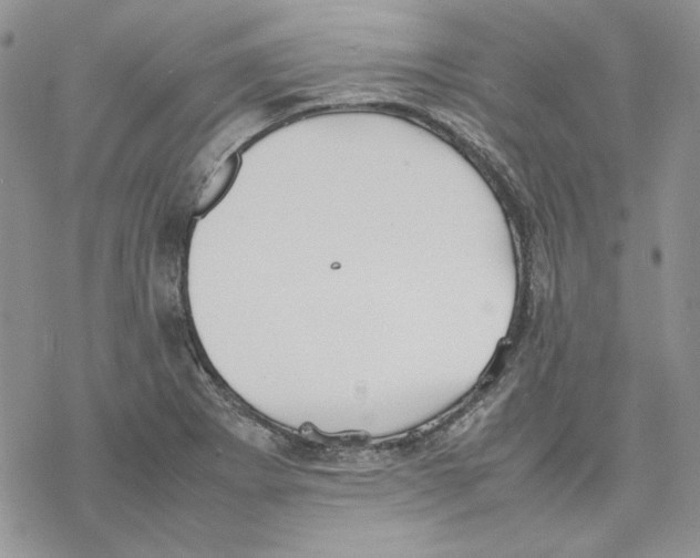 X0000077281273200611171553