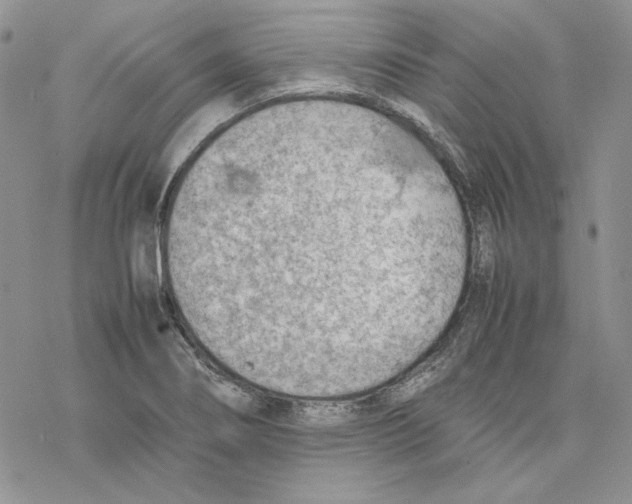 X0000077281274200611171553