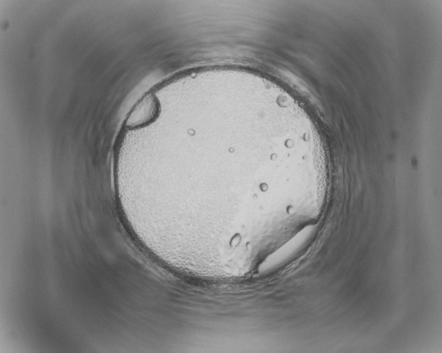 X0000077281275200611171553