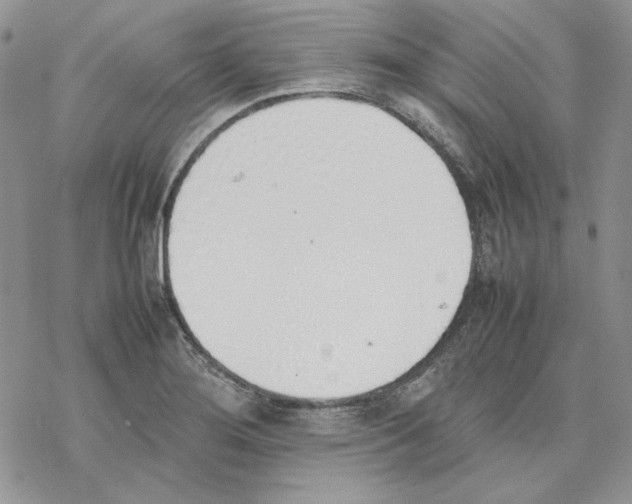 X0000077281276200611171553