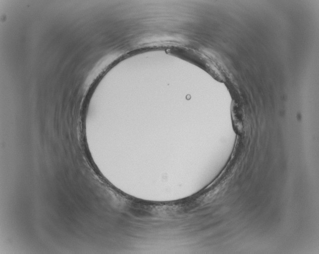 X0000077281277200611171553